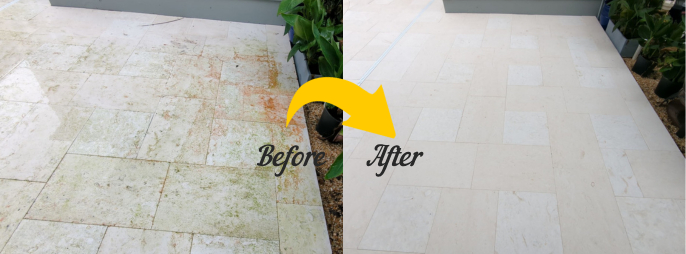 Paver Limestone Stain Remover Biological Growth img